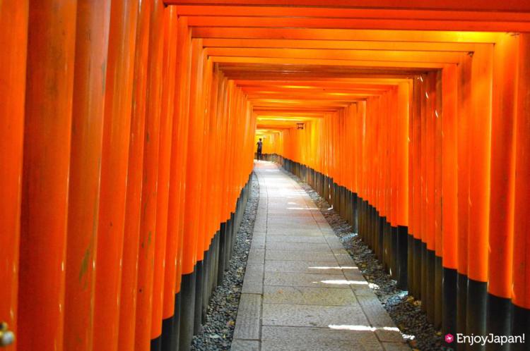 圧倒される稲荷山の「千本鳥居」！日本の観光スポットで人気トップの京都「伏見稲荷大社」の魅力とは？