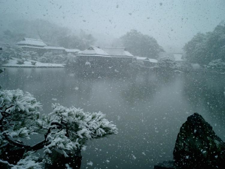 冬の雪化粧の彦根城内