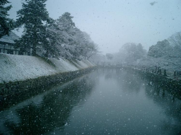 冬の雪化粧の彦根城のお堀