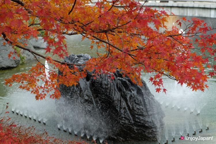 勝尾寺の秋の紅葉
