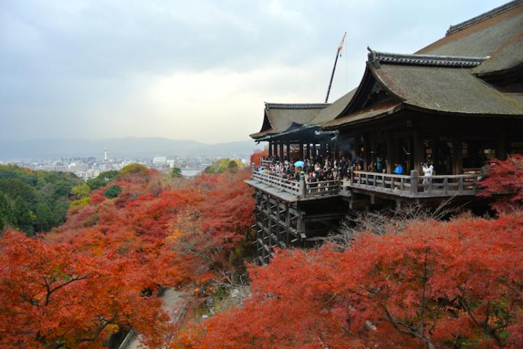 京都を代表する人気観光スポット「清水寺」！世界文化遺産の「清水の舞台」からの絶景を体験しにいこう。