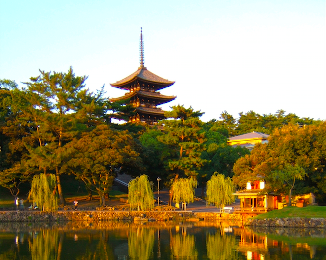 創建1300年の世界遺産奈良「興福寺」！千手観音、阿修羅像、五重塔の国宝目白押しで見所満載！