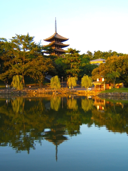 興福寺の猿沢池からみる五重塔