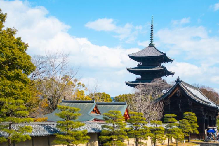 木造の建築物では日本一の高さの五重塔がシンボルの世界遺産「東寺」！感動的な美しさの夜桜や紅葉ライトアップをはじめ毎月開催の骨董市など見どころを存分にご紹介！