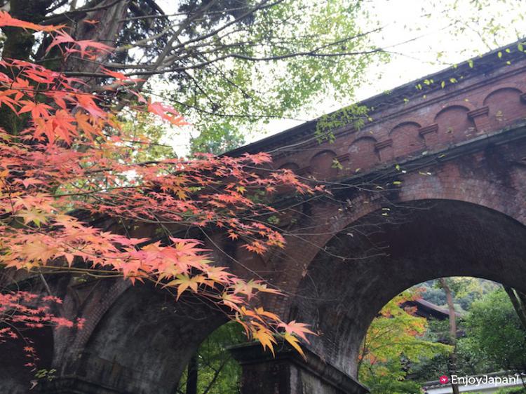 南禅寺の水路閣の紅葉