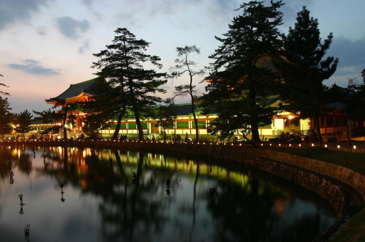 奈良公園のライトアップ