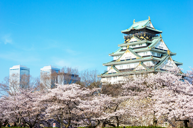 2017年大阪の春「桜の名所＆穴場」特集。大阪市内をはじめとする大阪を代表するオススメのお花見スポットやライトアップ情報、開花情報、見頃などのお役立ち情報をお届けします。