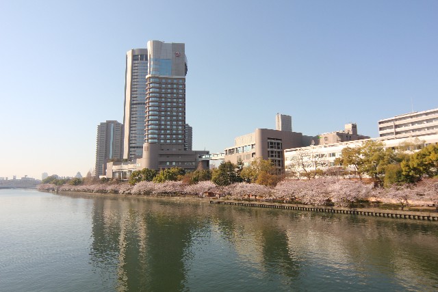 桜ノ宮公園から見た旧淀川沿いの桜並木
