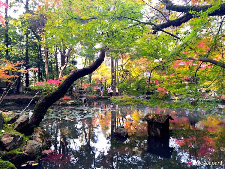 南禅寺天授庵の庭園の紅葉