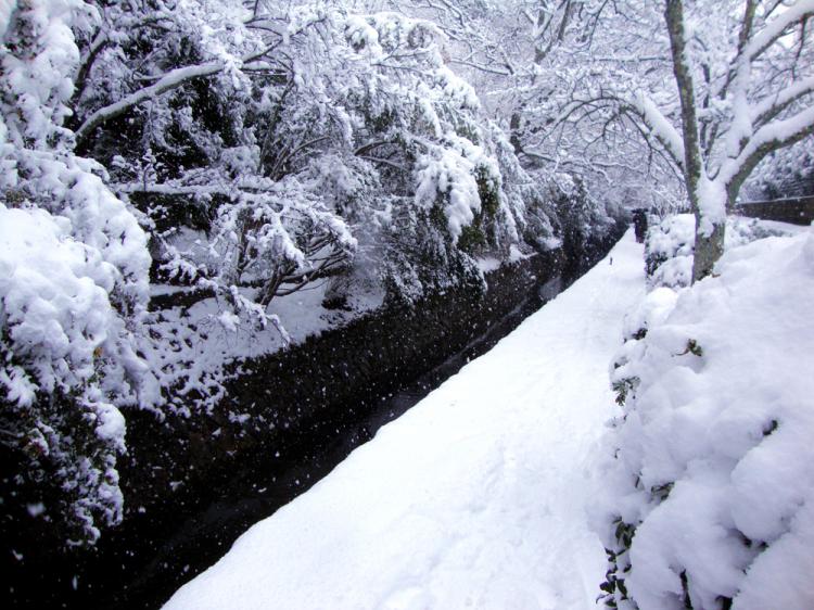 哲学の道の冬の雪化粧