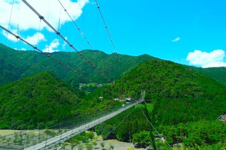 十津川村の日本一長い谷瀬の吊り橋の写真