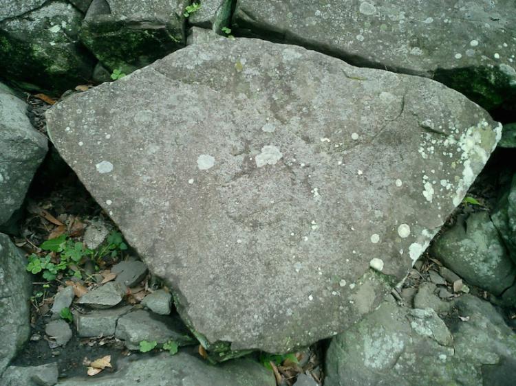 和歌山城の石垣の刻印